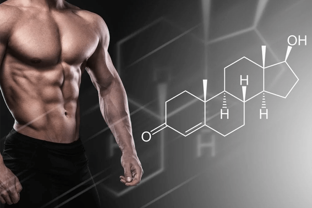 効力の刺激剤としての男性のテストステロン
